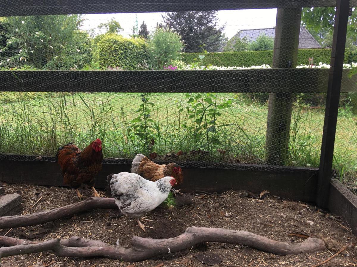 Vakantiehuis In Het Voorhuis Dommelen Luaran gambar